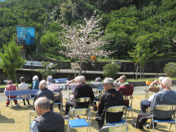 花見会